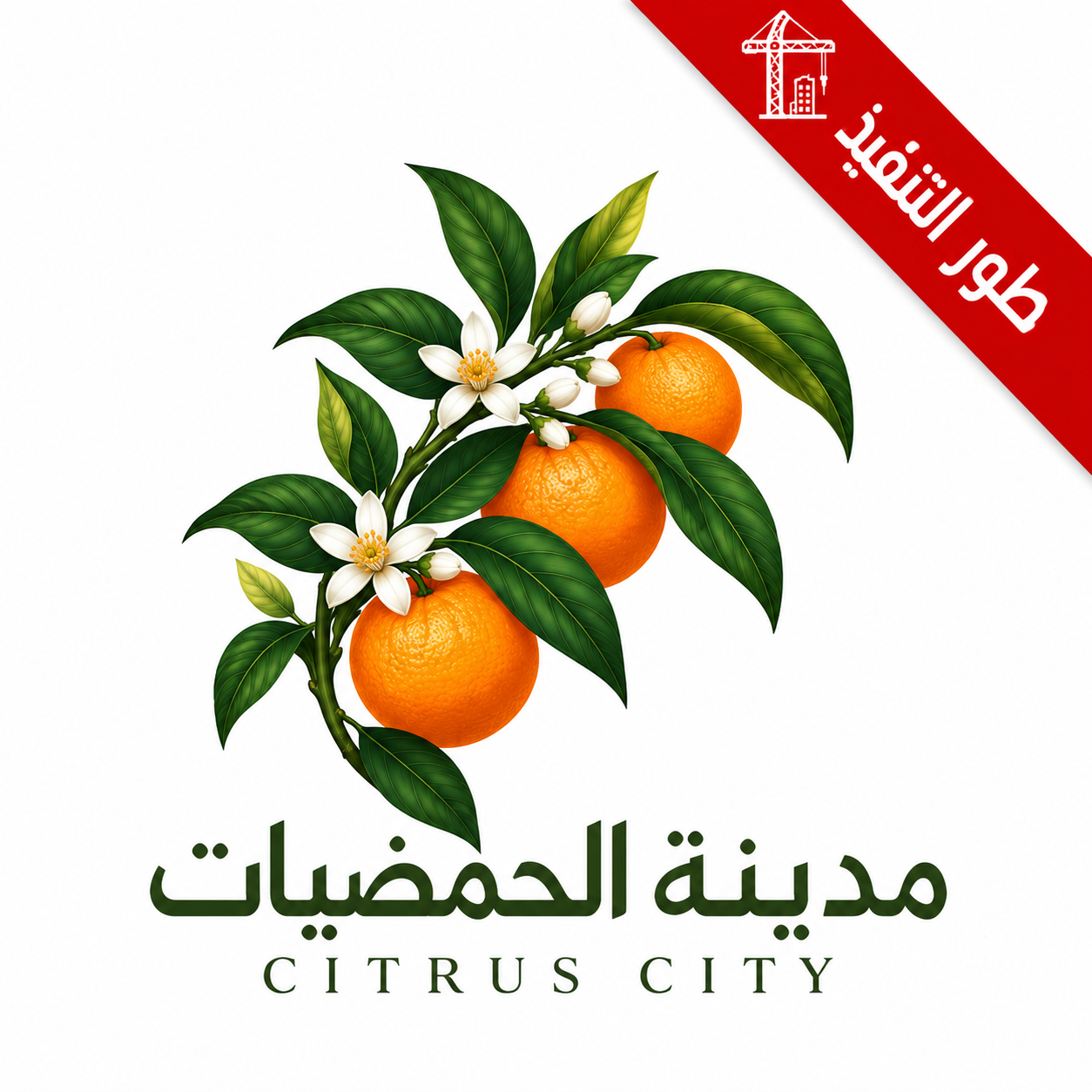 مدينة الحمضيات