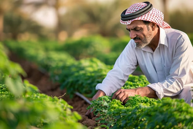 مزارع سعودي يتفقد المحاصيل في الحقل